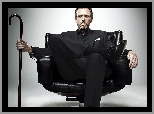 Dr House, Hugh Laurie, Laska, Fotel